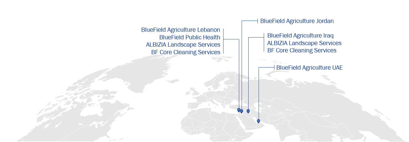 World map showing BlueField Group presence in UAE, Jordan, Lebanon, and Iraq